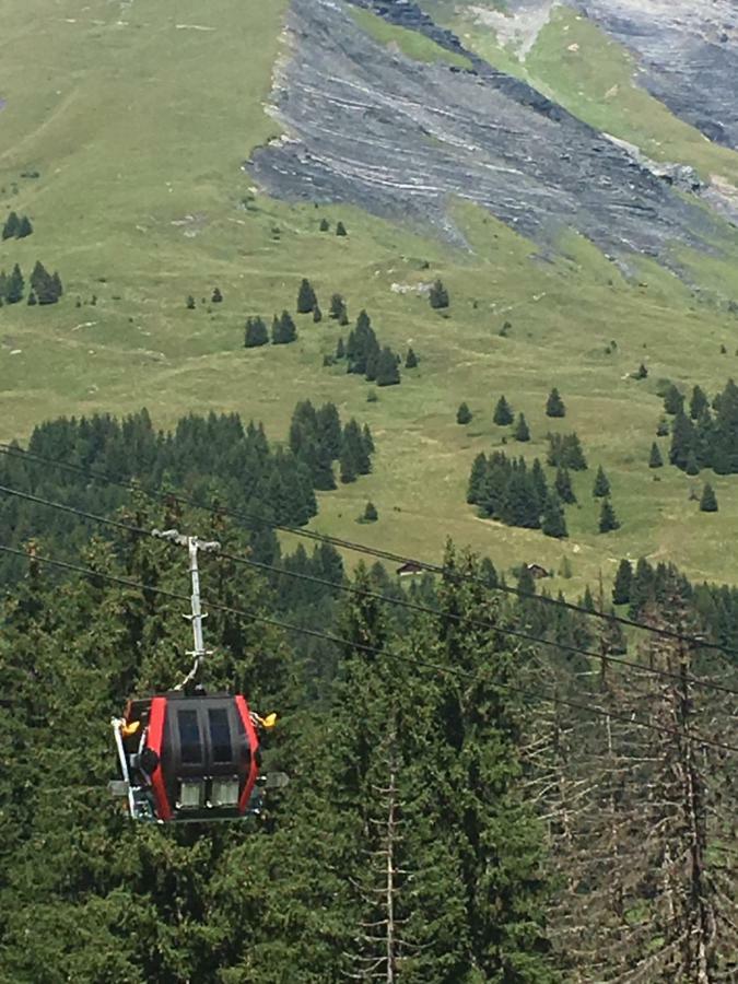 레컨테민스몬트조이 Les Pierres Blanches Mont Blanc 아파트 외부 사진